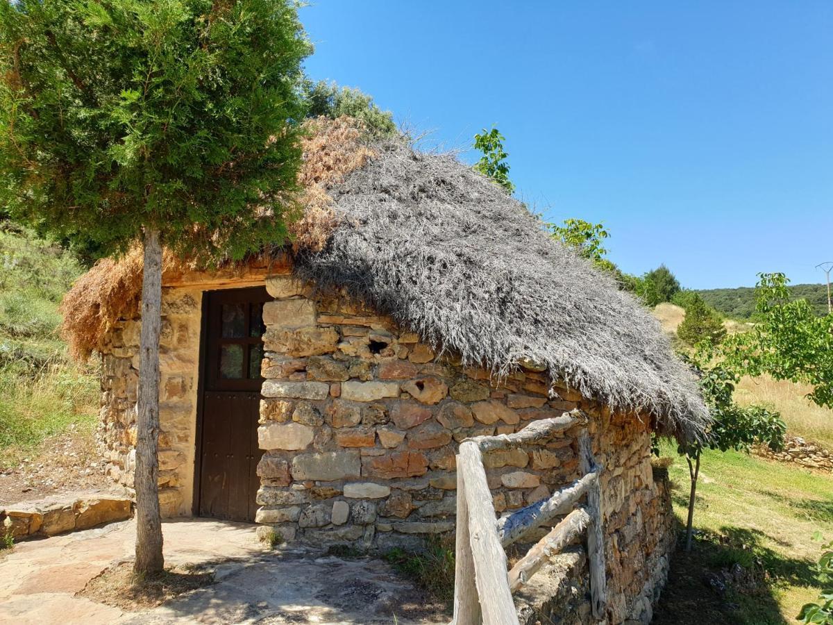 Casa Rural Don Rosendo Olmeda de Cobeta Экстерьер фото